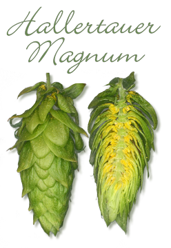 Magnum