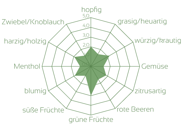 Hallertau Blanc Aromaeindrücke Rohhopfen