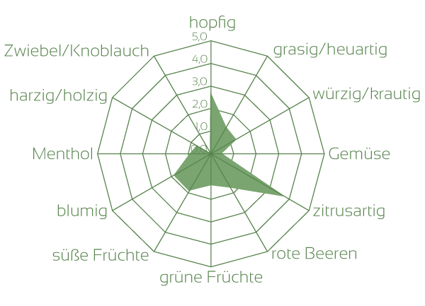 Mandarina Bavaria Aromaeindrücke Rohhopfen